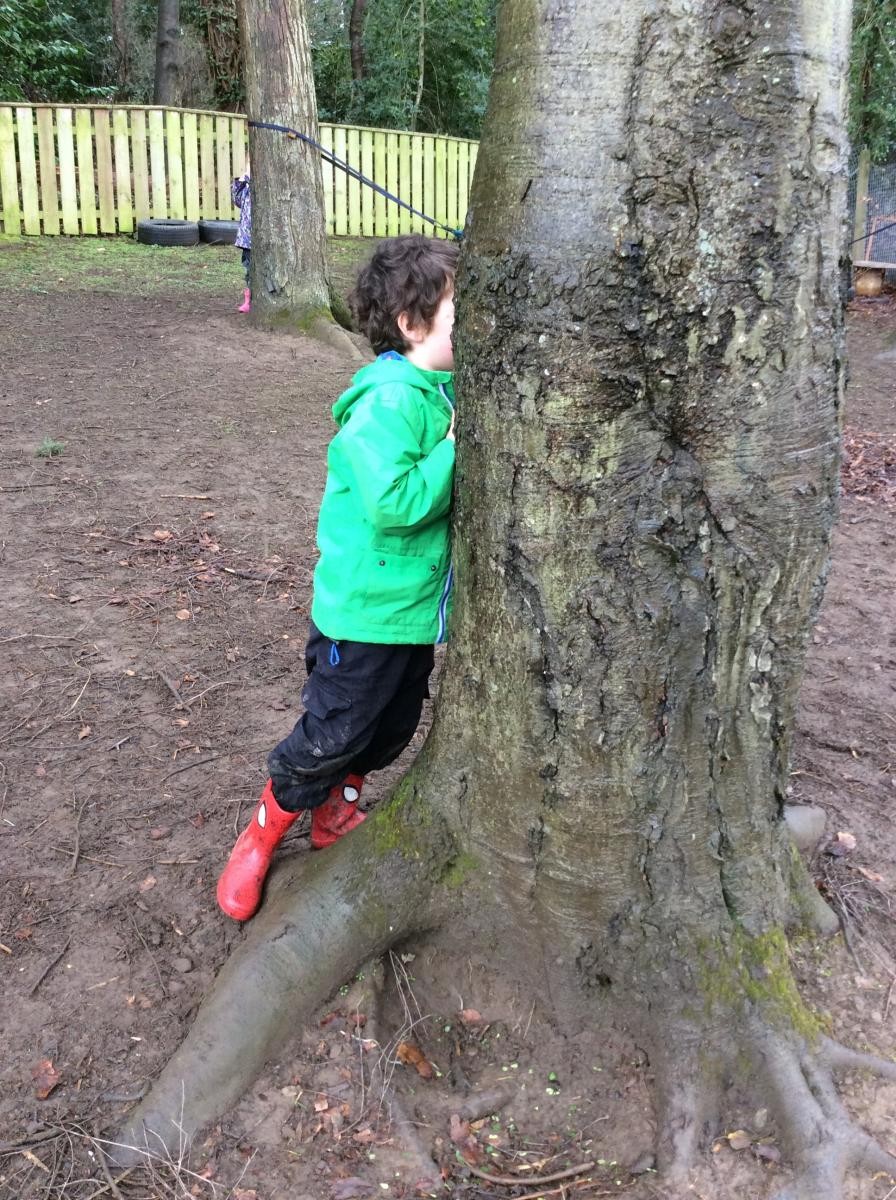 Behind a big tree is an excellent place to hide.