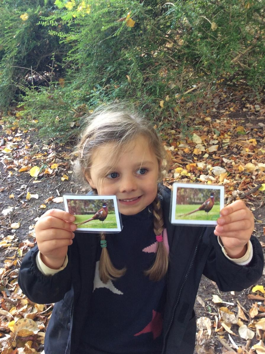 We talked about the animals and birds that were on our cards.