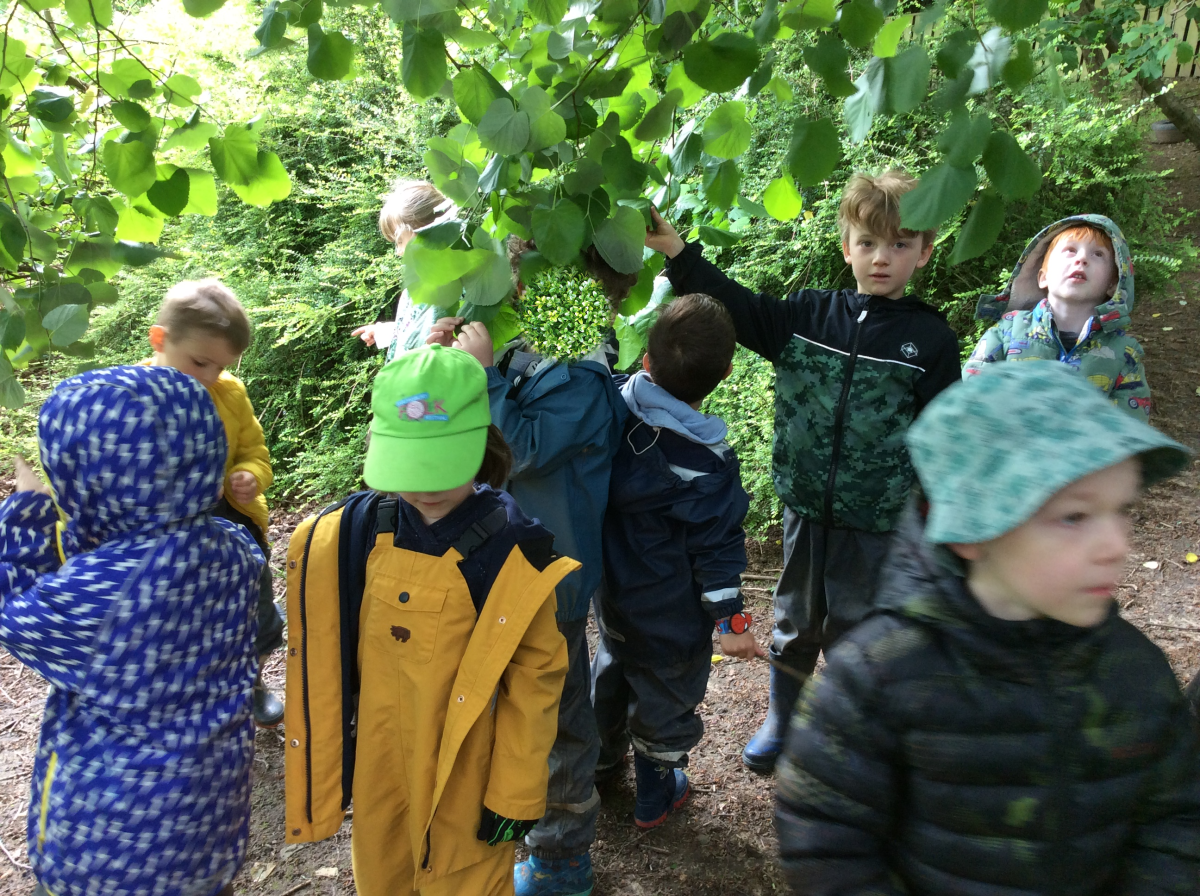 We described all the things that we could see, hear, touch and smell.