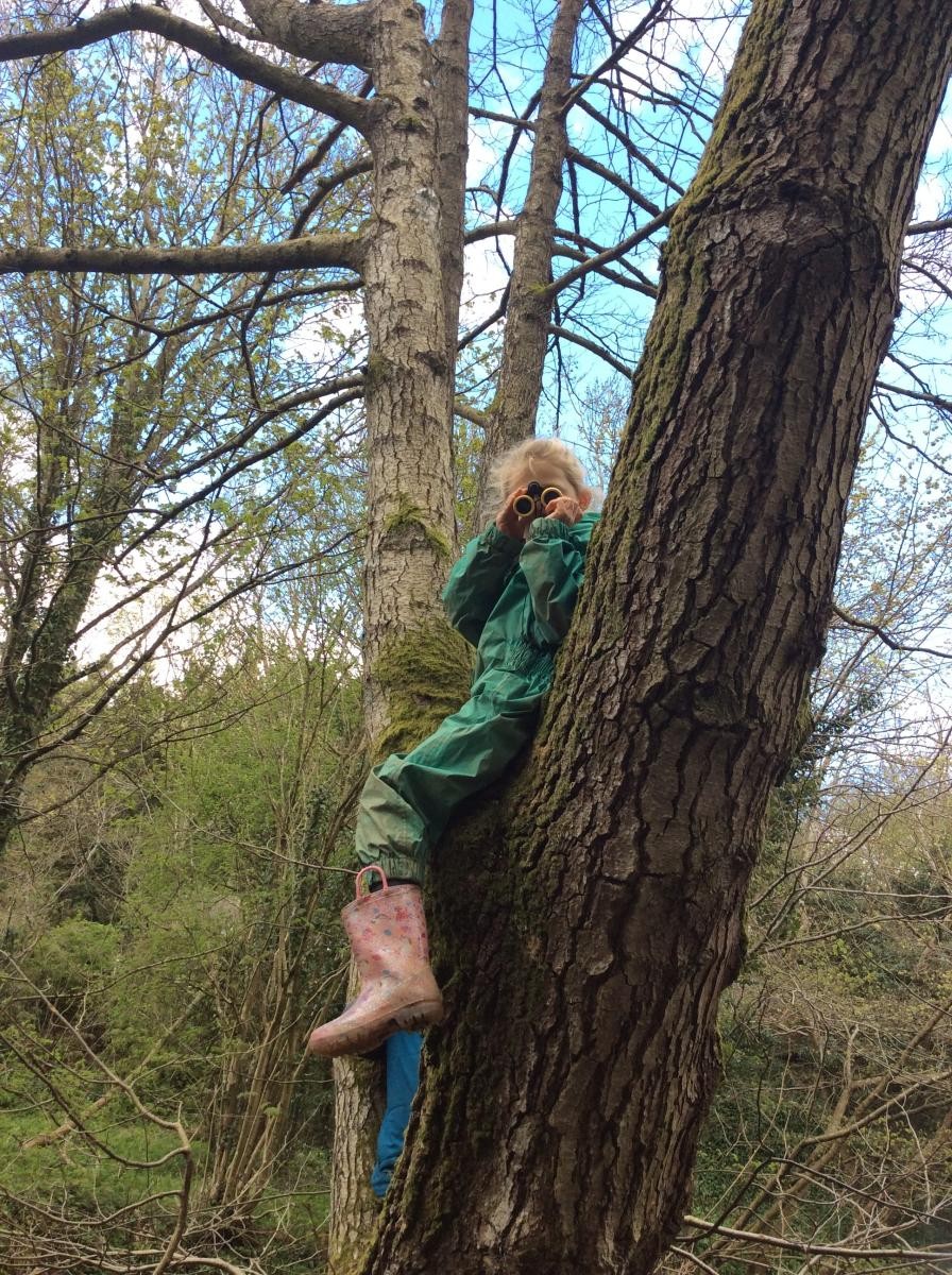 Climbing the trees and bird spotting!