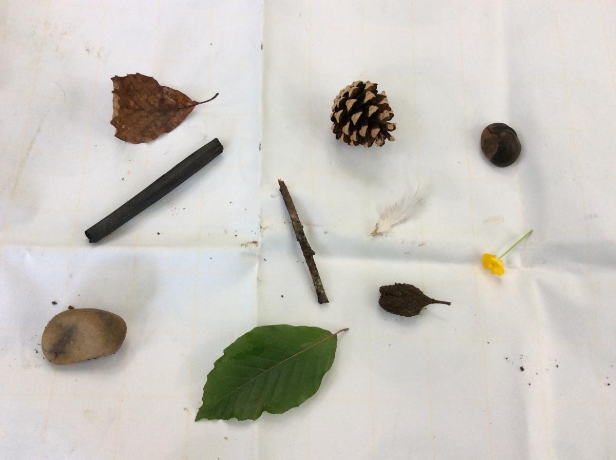  We had 10 natural objects on the mat and the children had to memorise them.