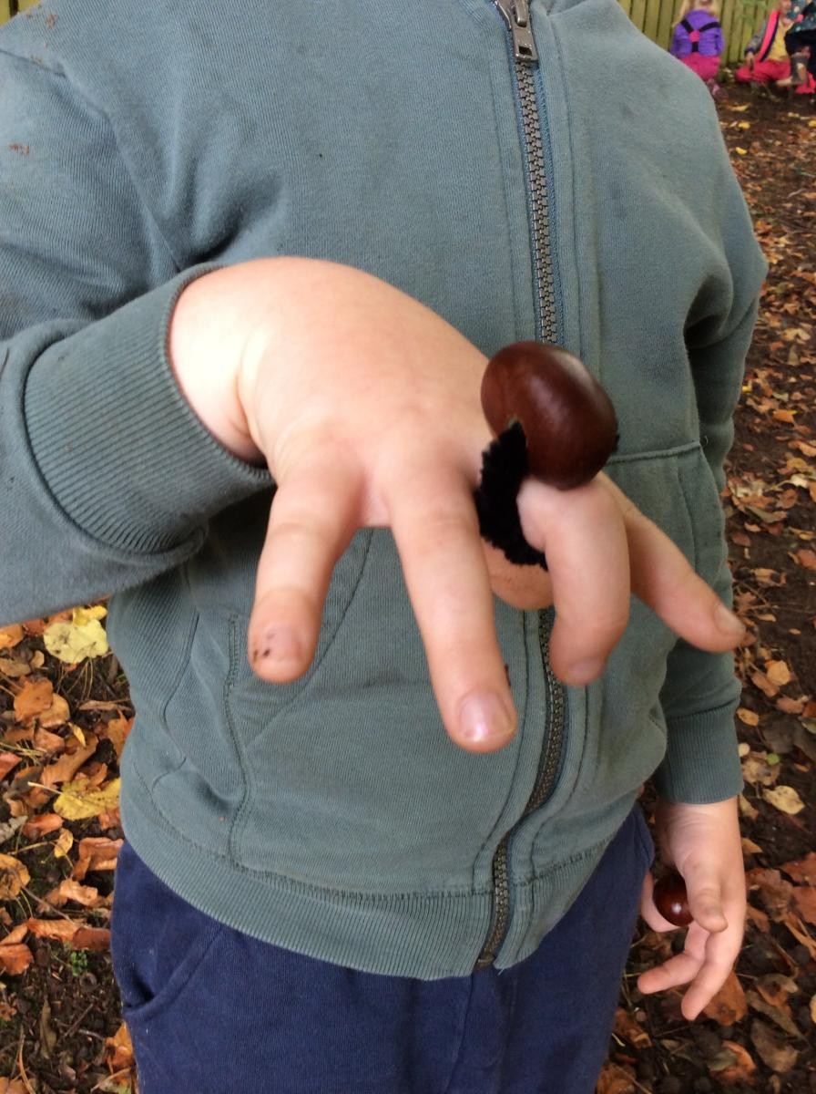An excellent conker ring!