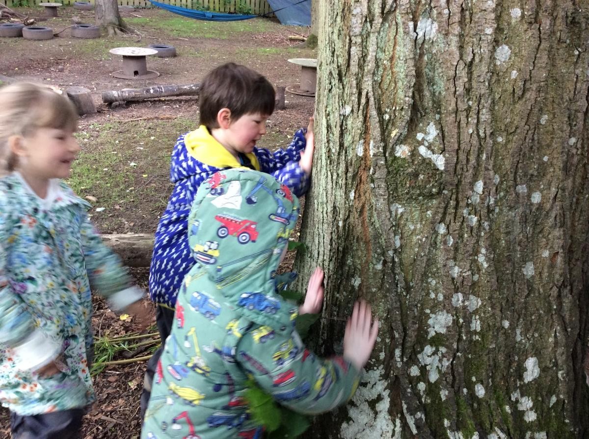 This tree trunk felt rough and bumpy.
