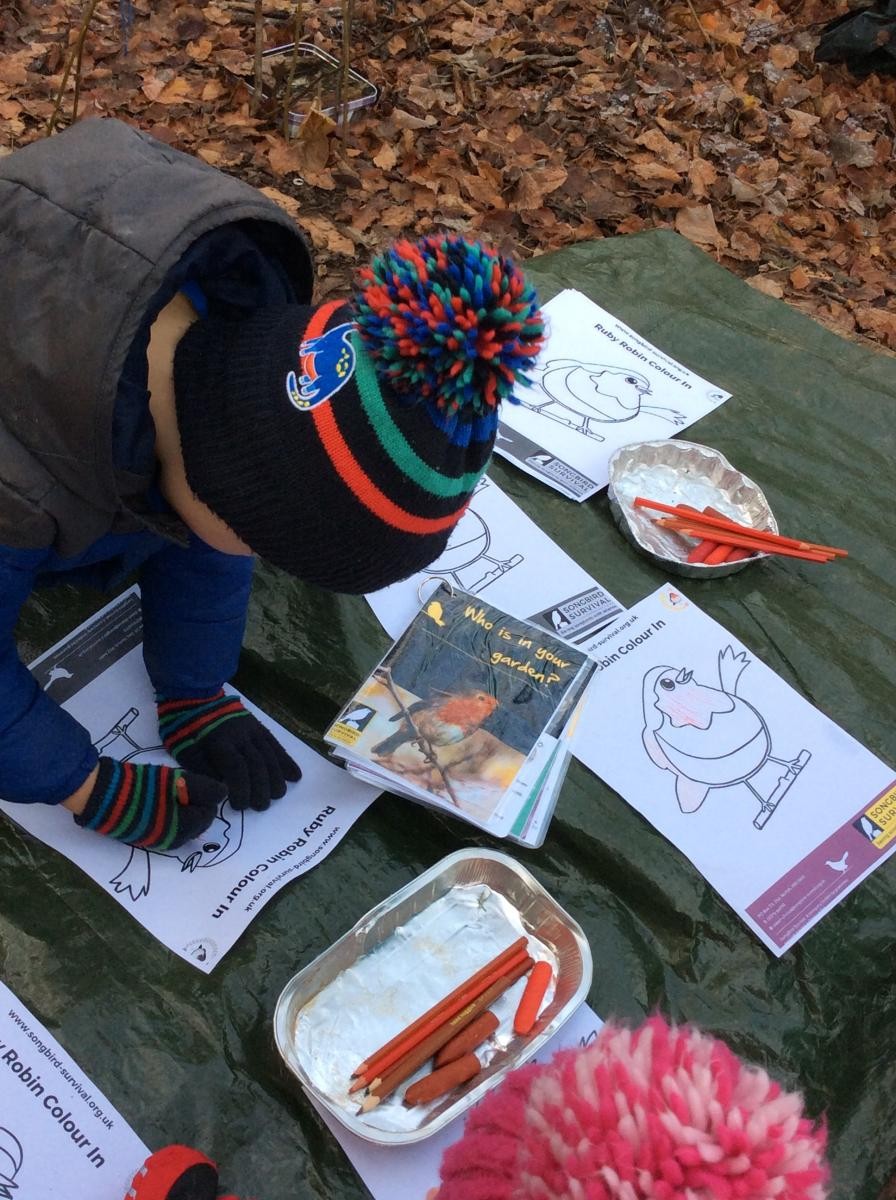 The next challenge for our Ruby Robin Award was to learn about songbirds.