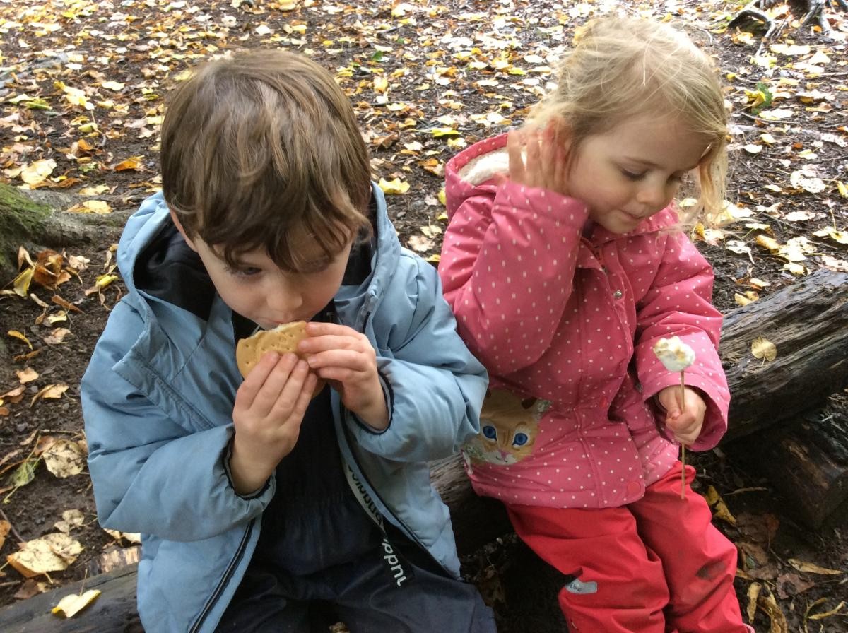 We made s'mores and they were delicious!
