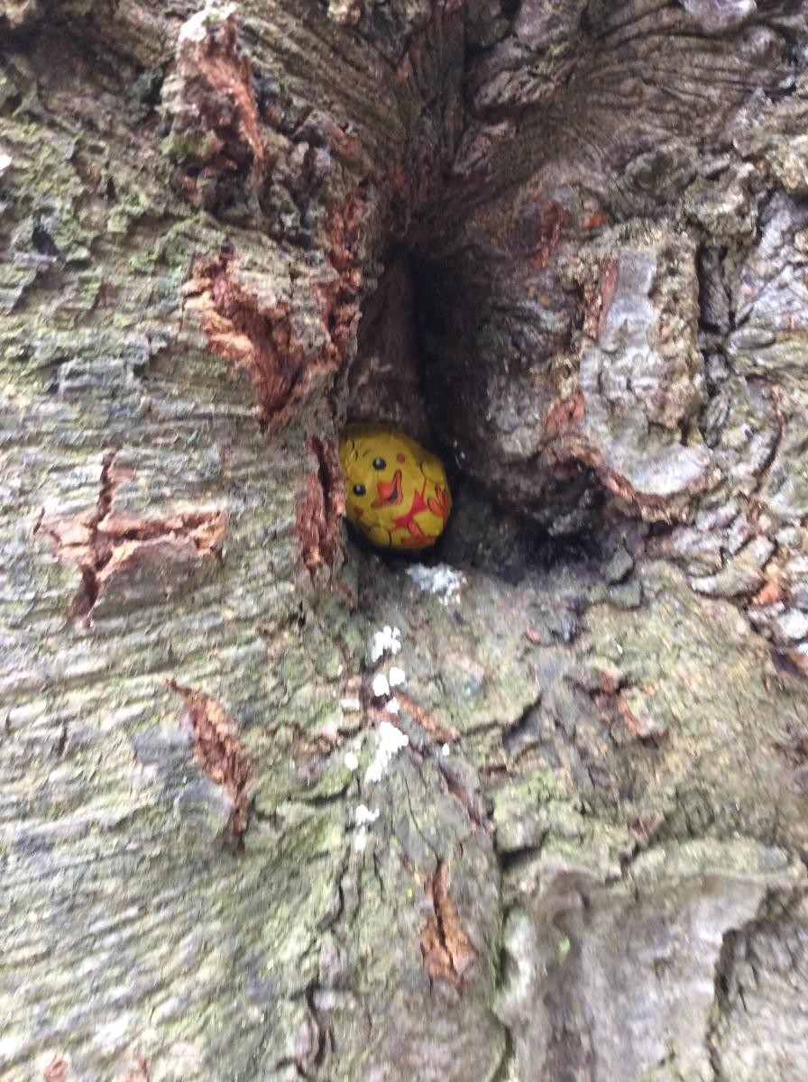 We went on a hunt for little chocolate chicks and bunnies hidden around the woods.