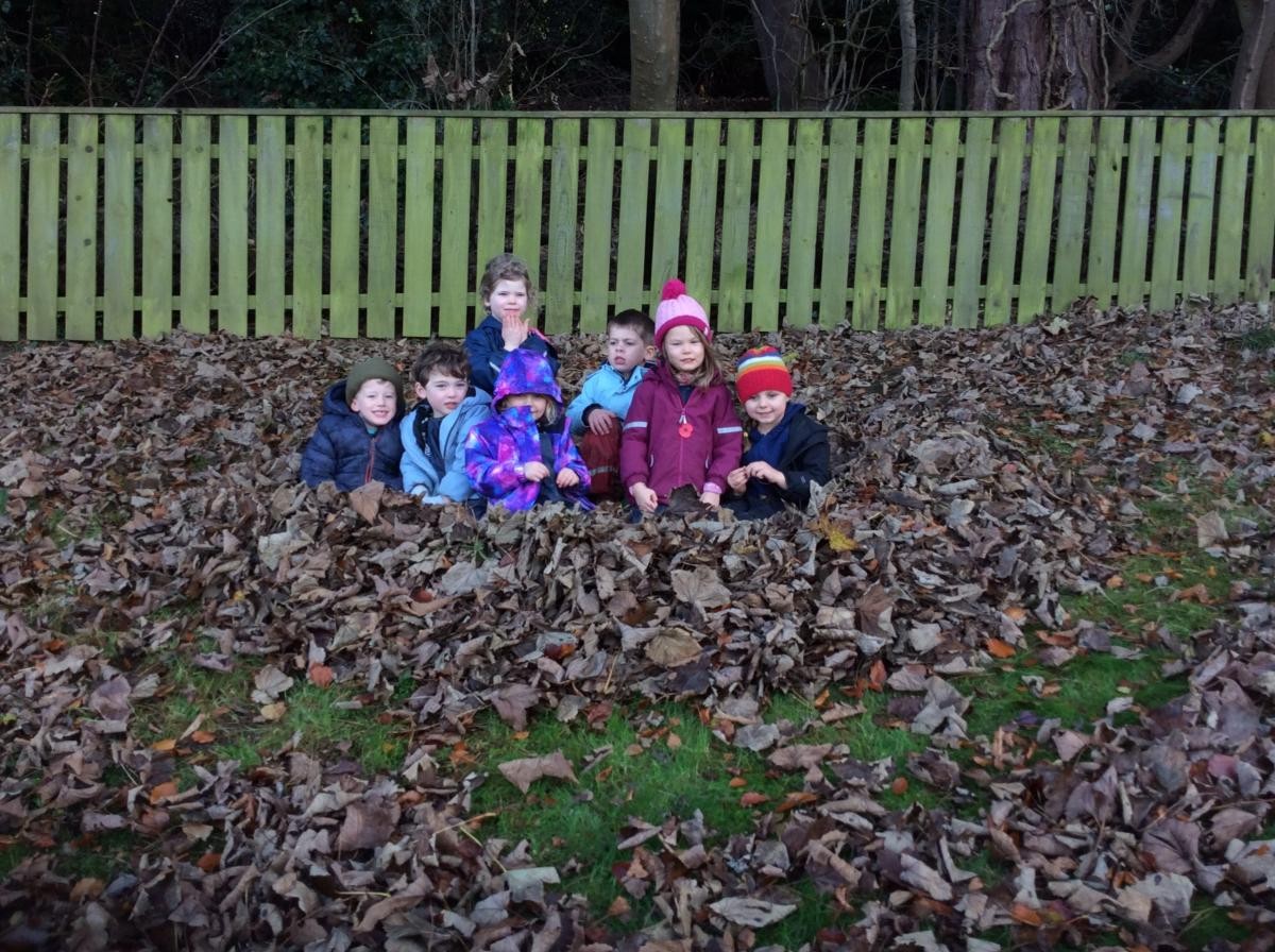 Look at our fabulous nest!