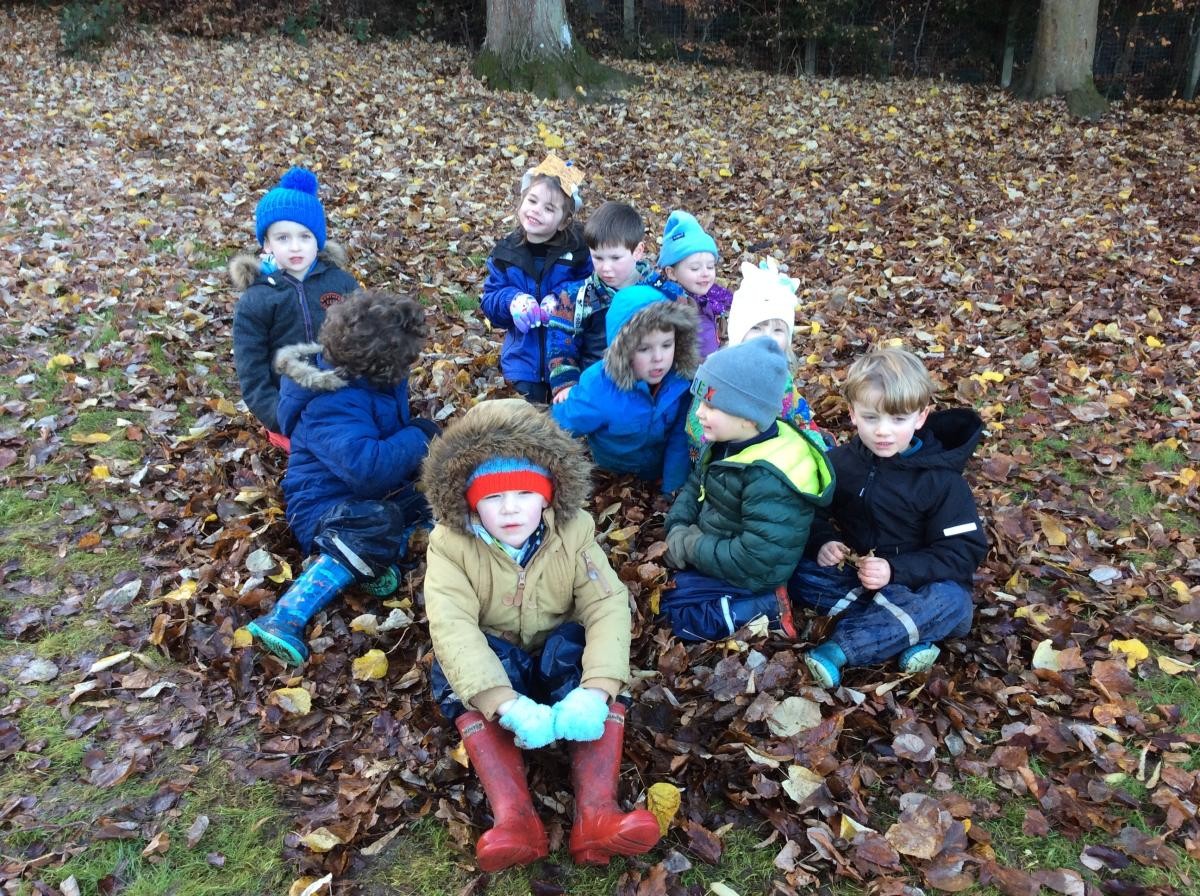 Once we were in the nest, Sarah read the Leaf Man story to us.