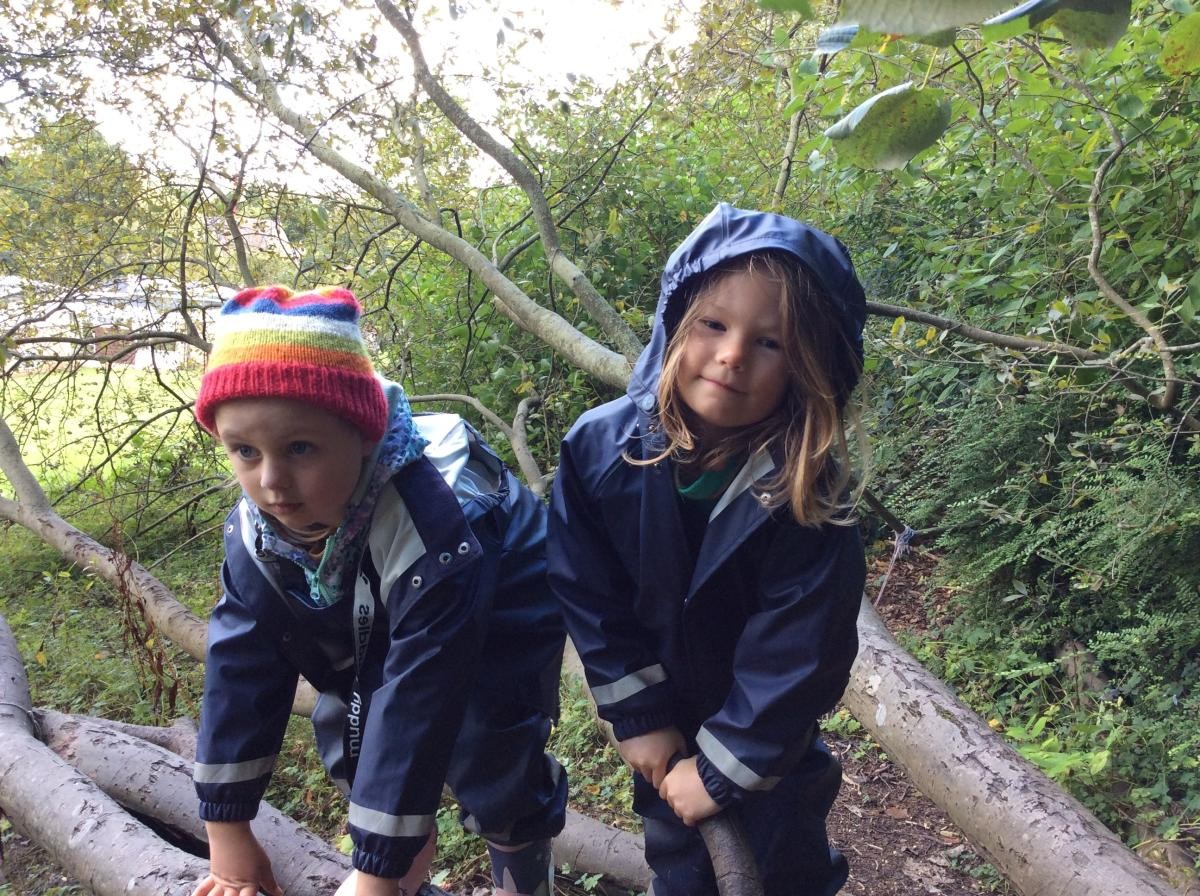 We climbed trees.