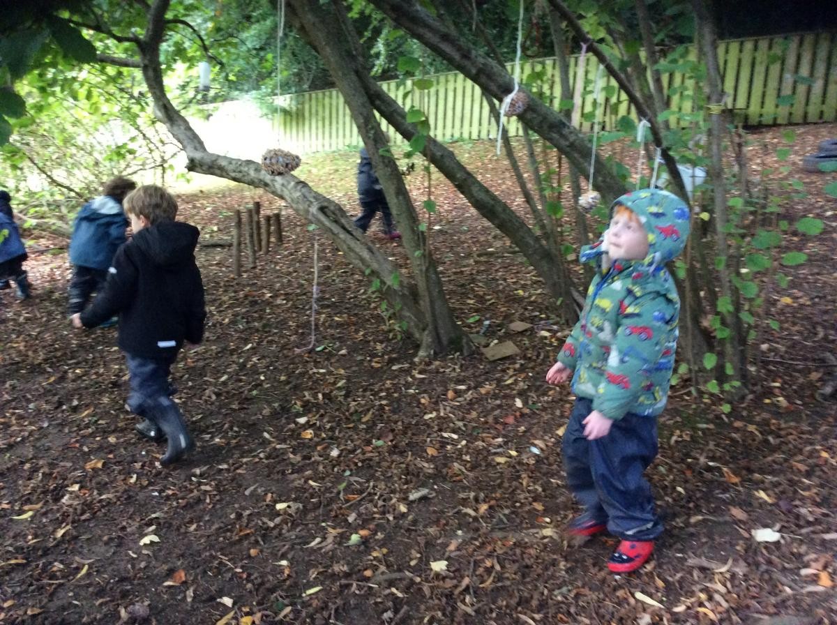 September 29th. Reception Class had fun hunting for acorns today.