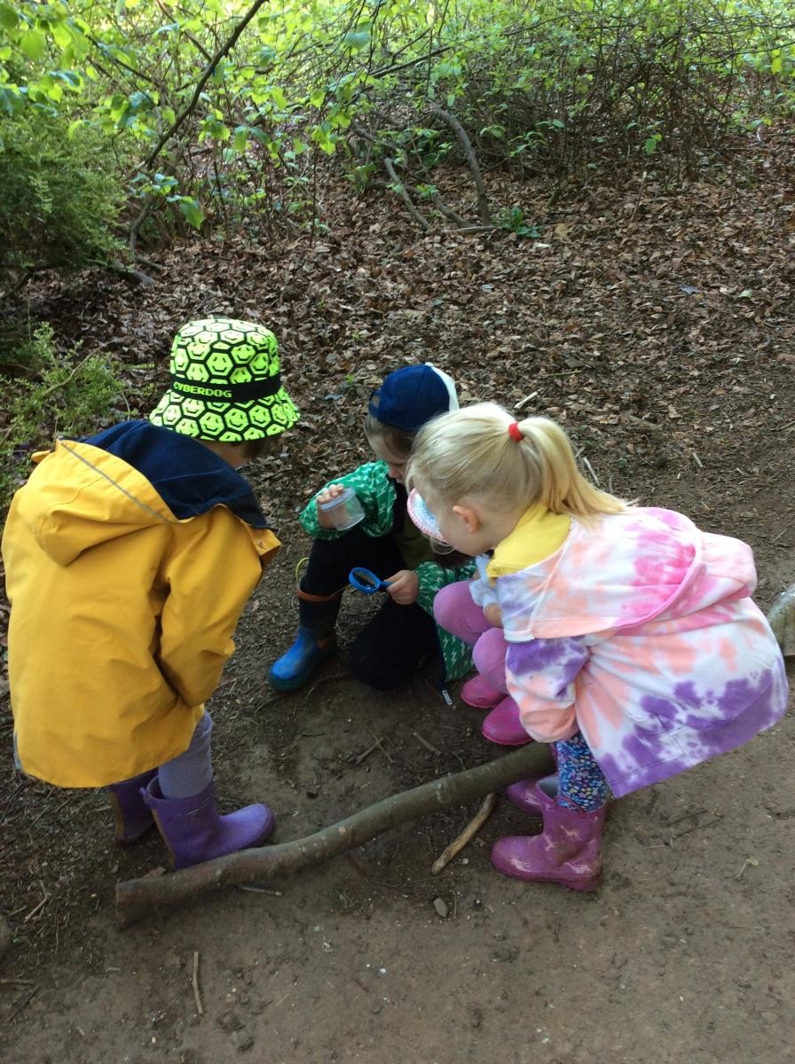 Hunting for bugs.