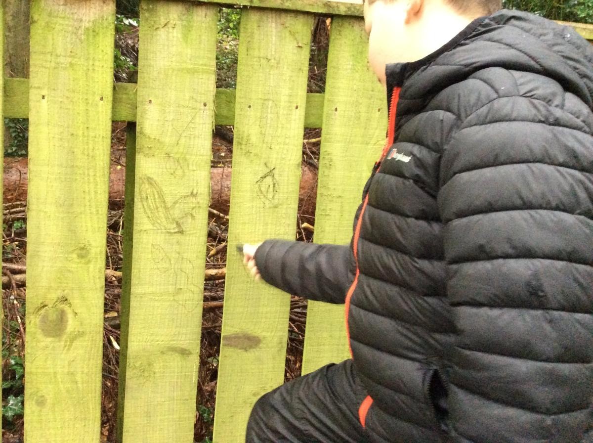 We didn't have cave walls to paint so we used the fence, cardboard and paper.