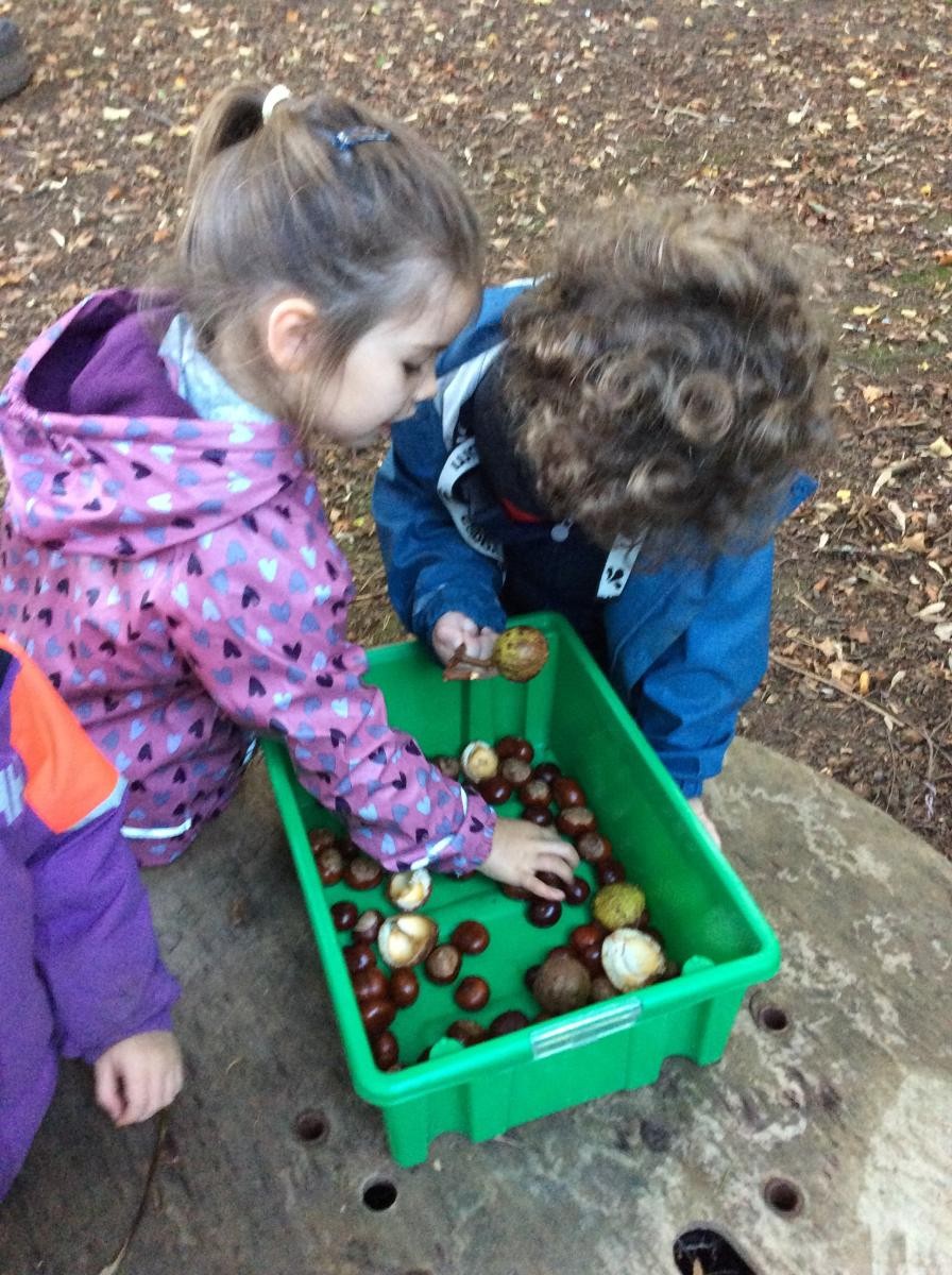 We also had a look at some conkers.