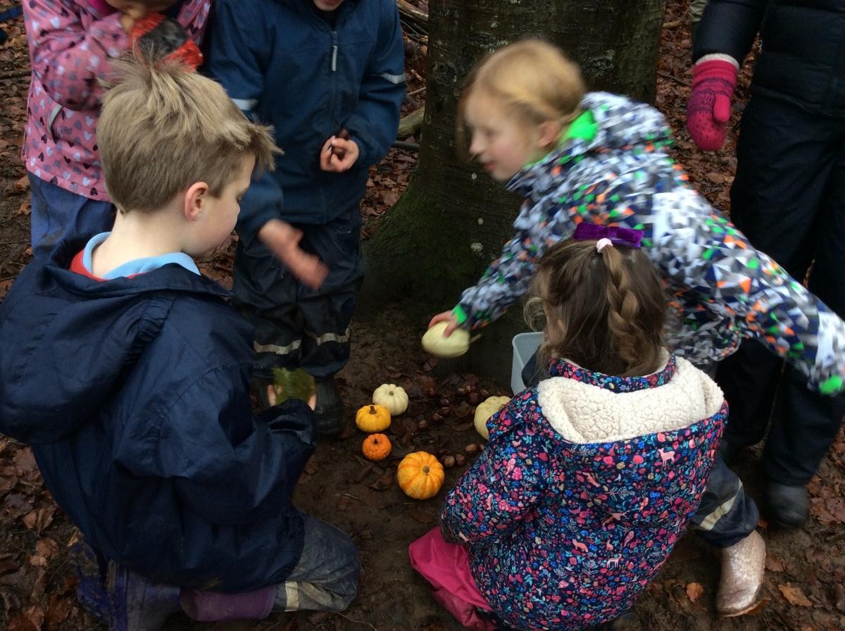 Shopping at the pumpkin shop!