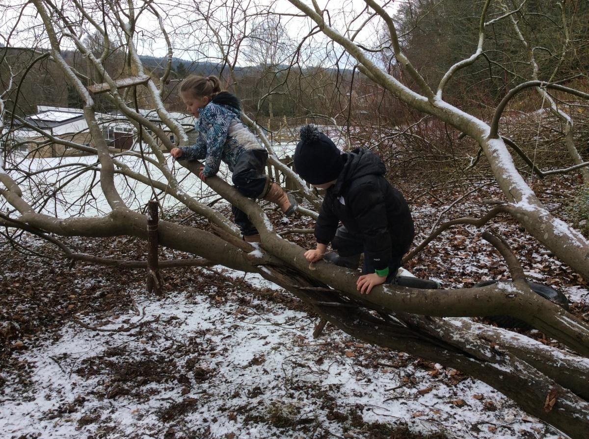 We still like to climb trees in the snow, but we are extra careful as the trees are slippery!