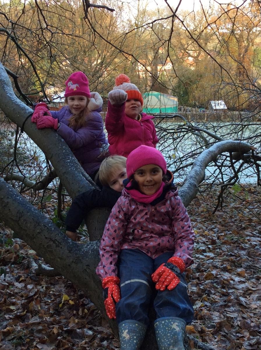 We love the woods!