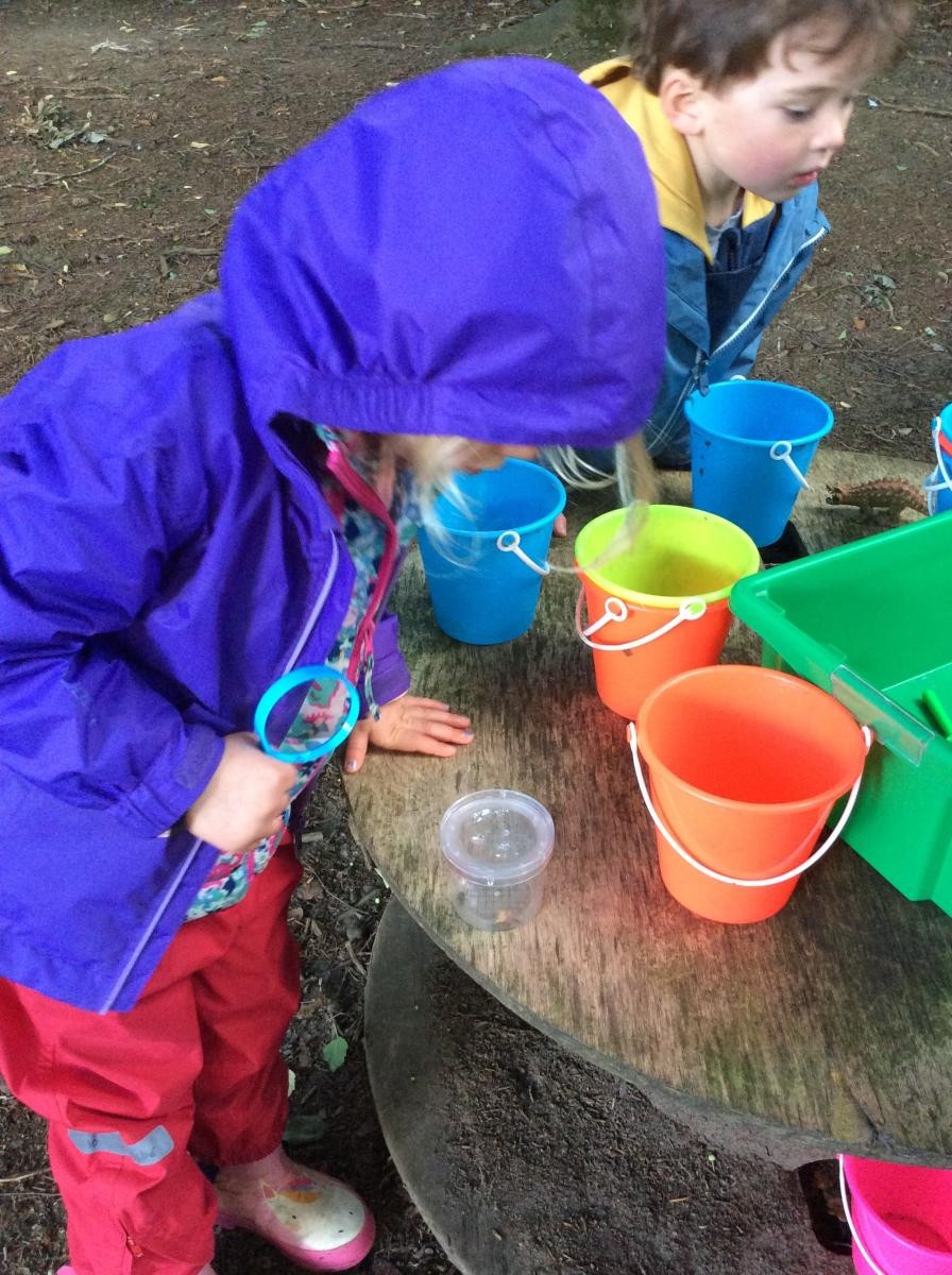 We found woodlice, worms, slugs and beetles.