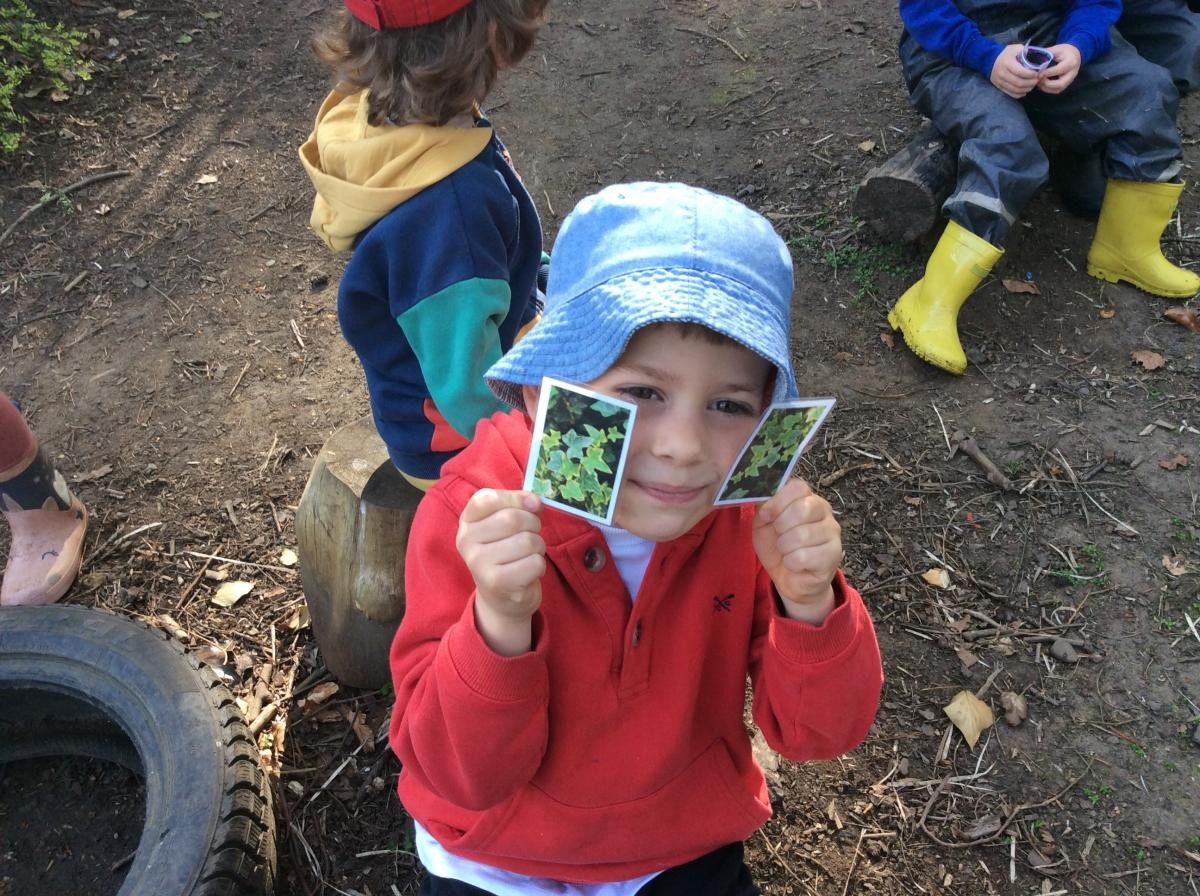 Week 1. This week Reception Class and Class 1 played a plant matching card game. Then we identified all the different plants in the pictures.