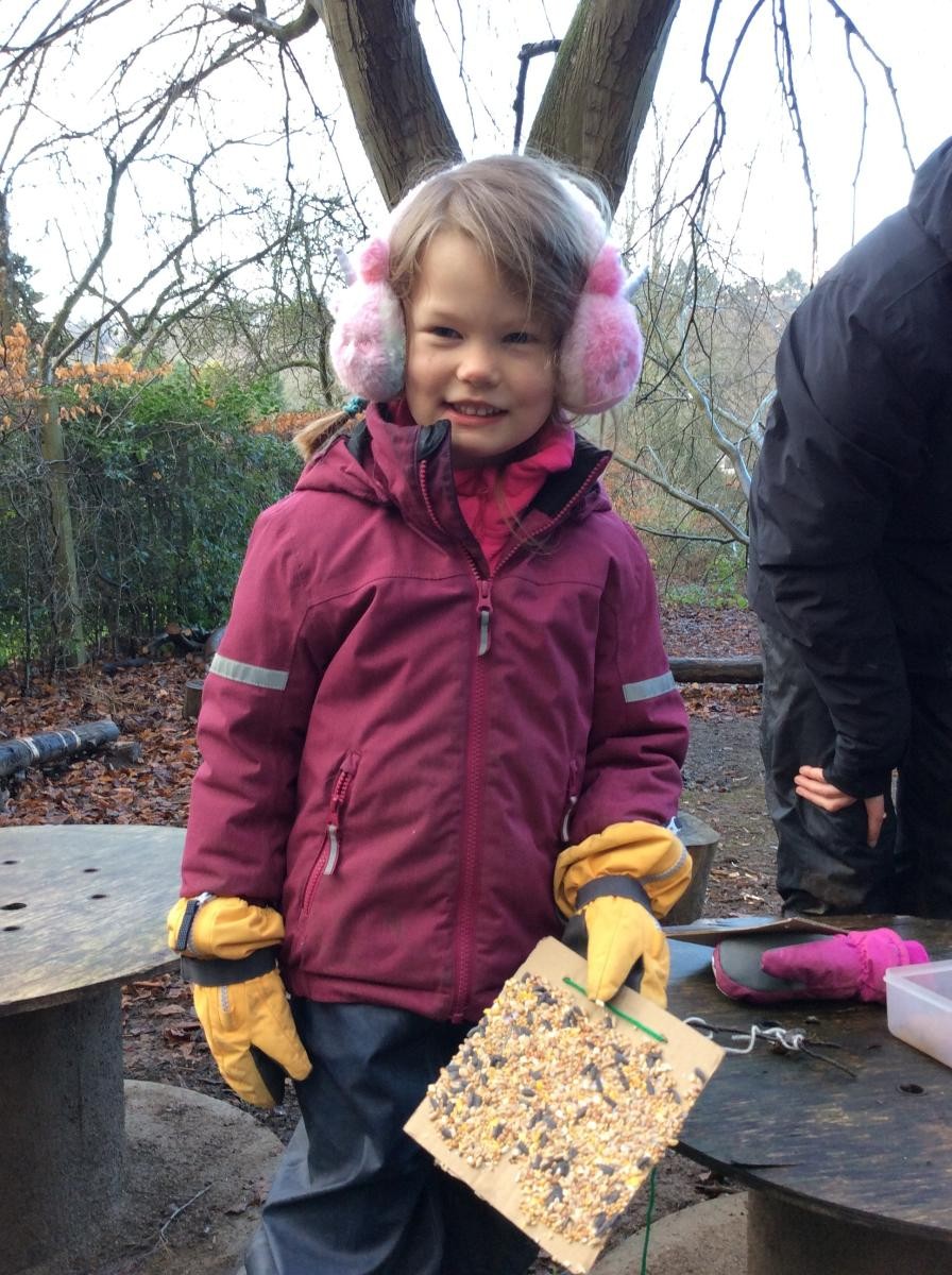 The birds will love these!