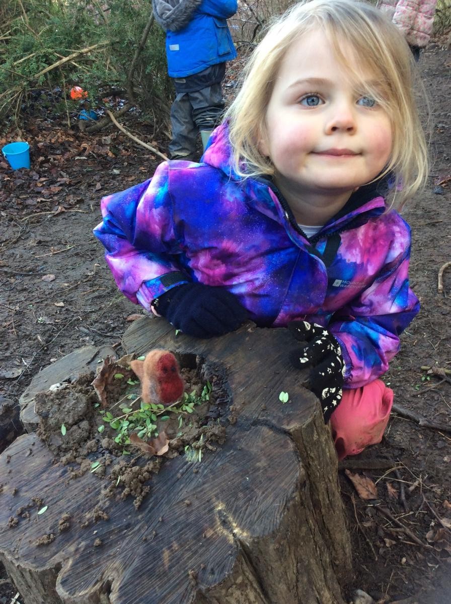 Little Robin loves this nest!