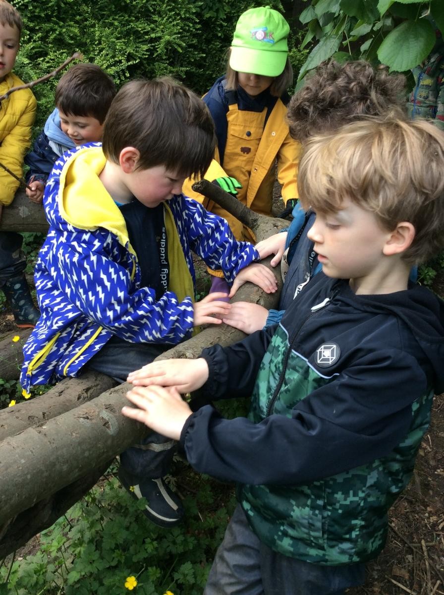 June 3rd. Reception Class started their session with a walk for the senses.