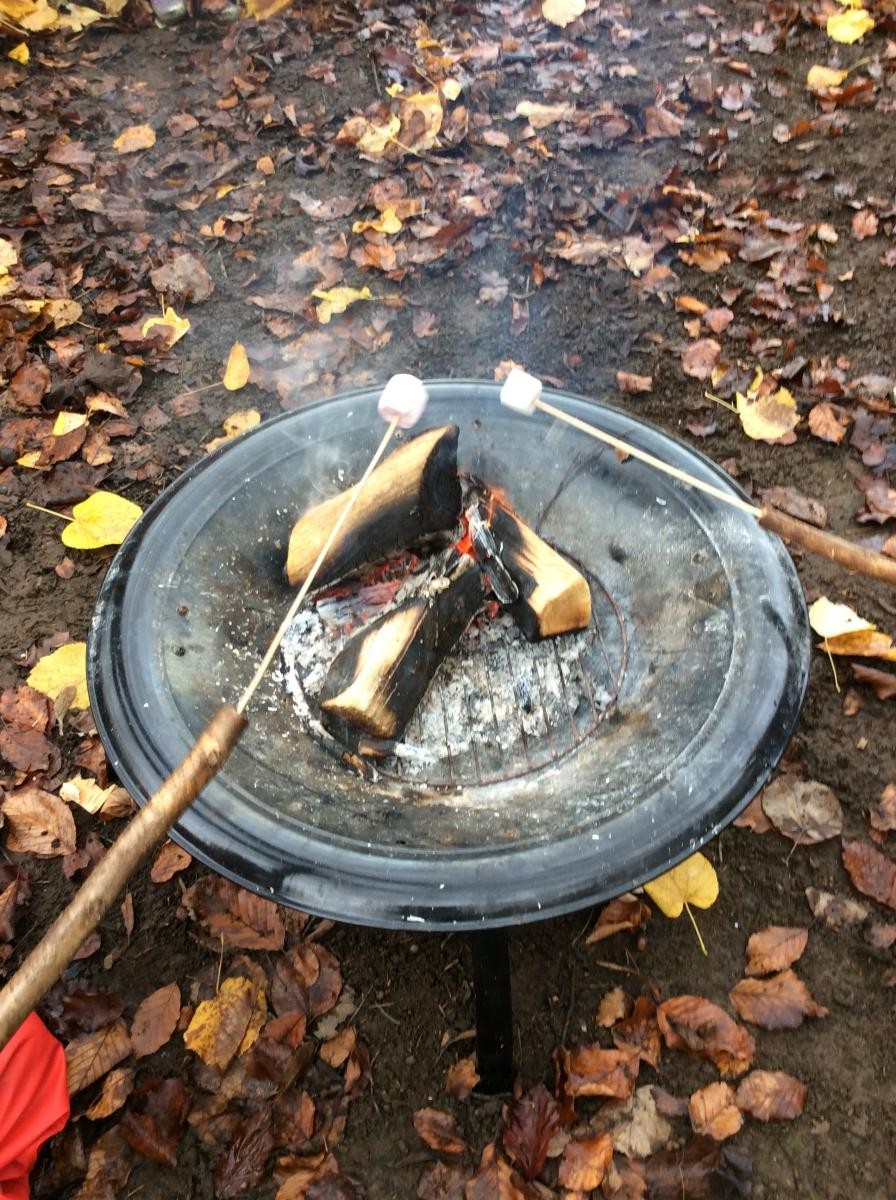 We toasted marshmallows...