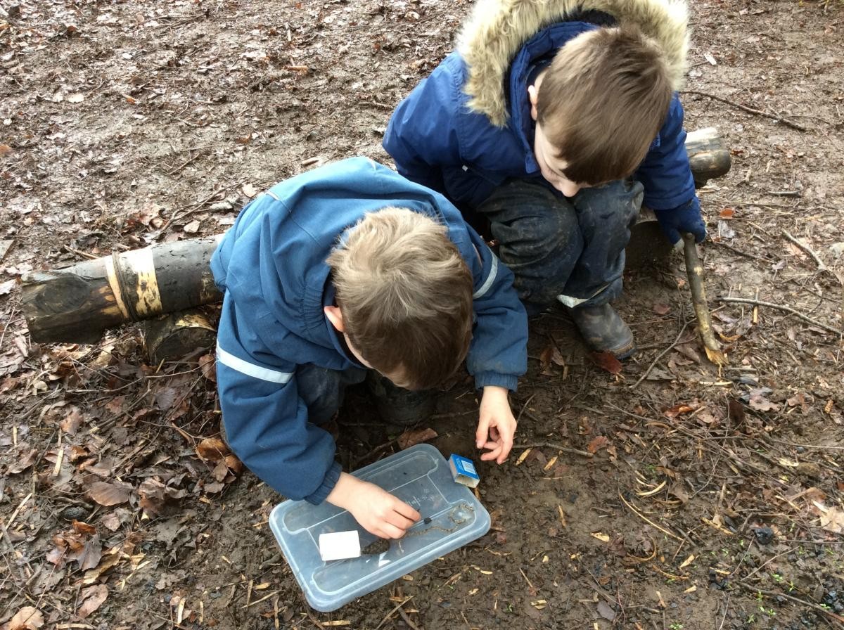 We came back to the circle to count out all the little things we had collected..