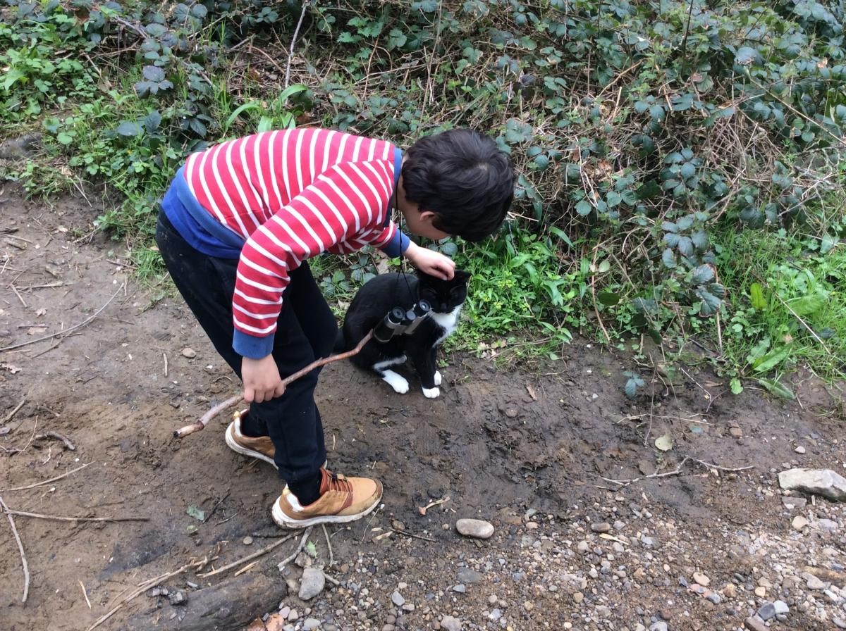 Our friend Loki the cat joined us!