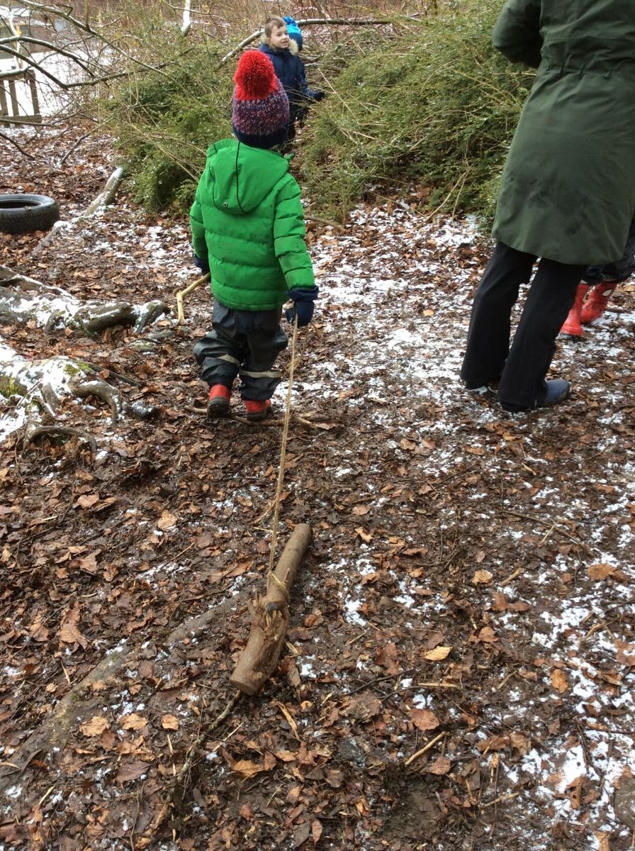 We walked our log dogs around the woods.