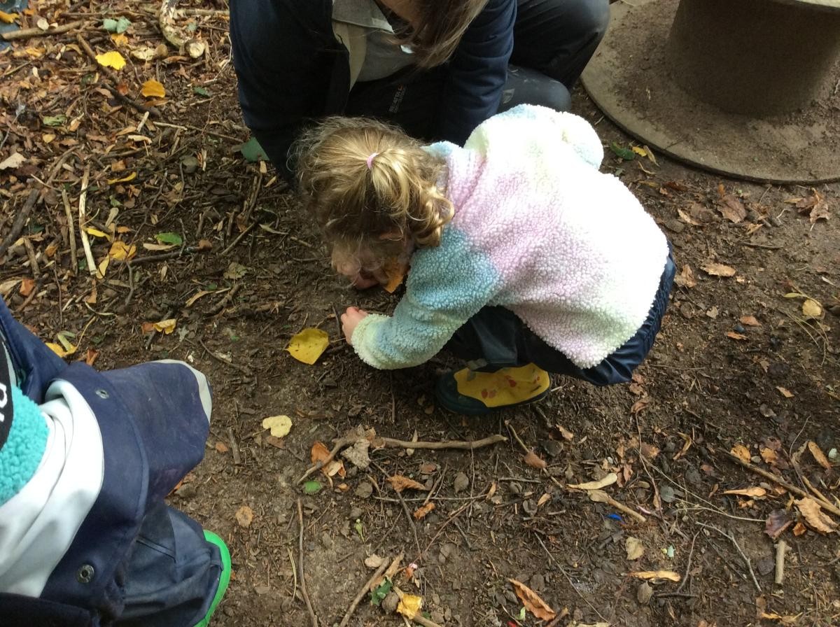 We looked in dark, damp places for woodlice and beetles.