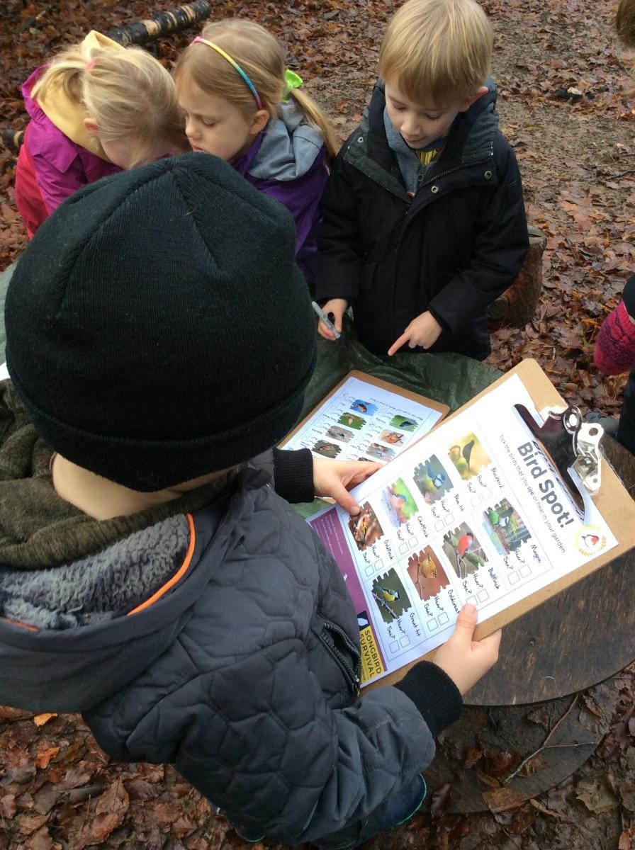 Our third challenge for the Ruby Robin Award was to do a bird spot. We talked about the songbirds that we could see and hear in the woods.