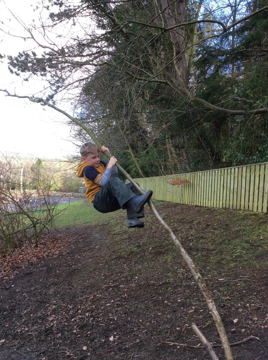 Is it a child or a koala?
