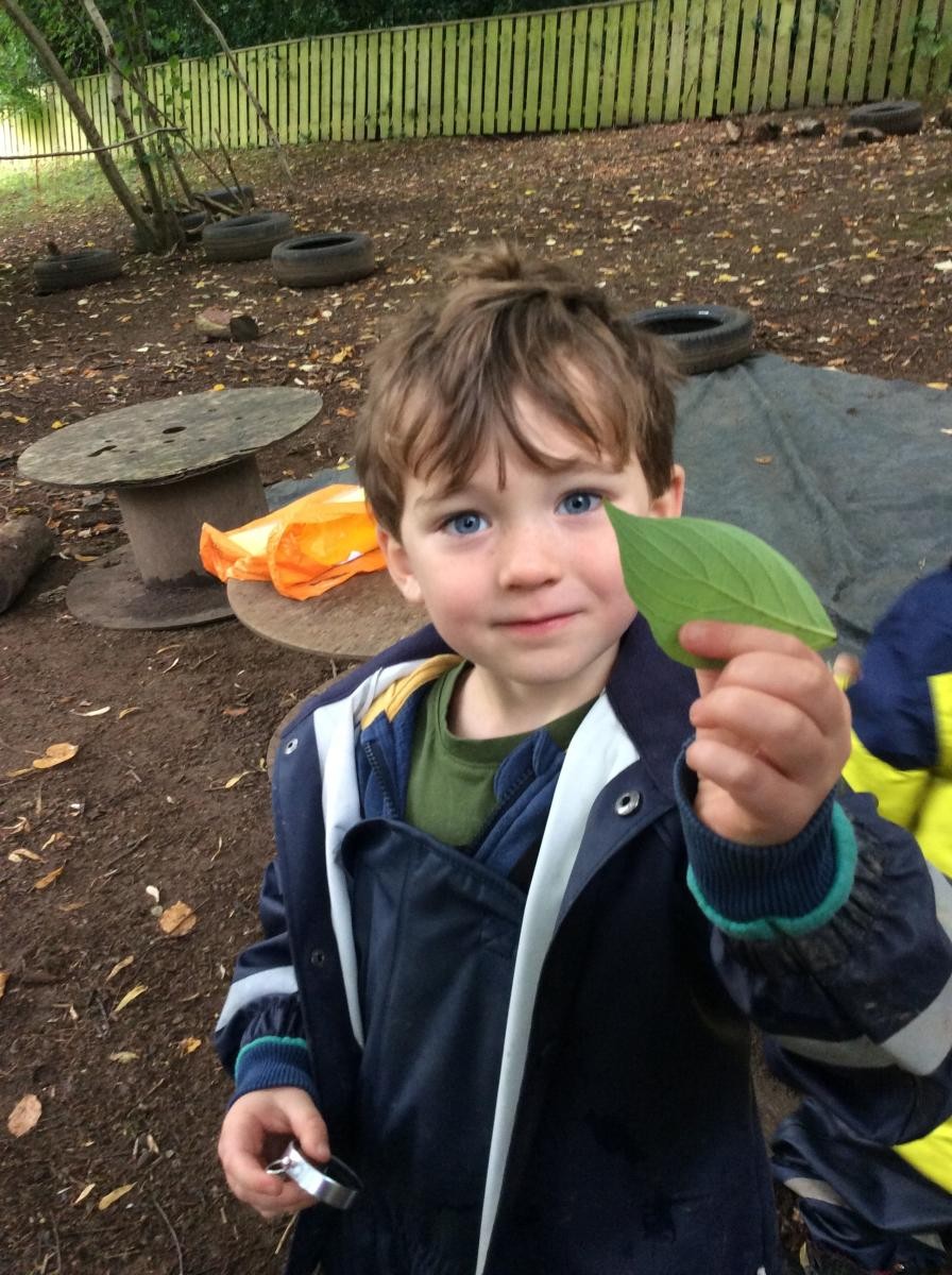 What a beautiful leaf!
