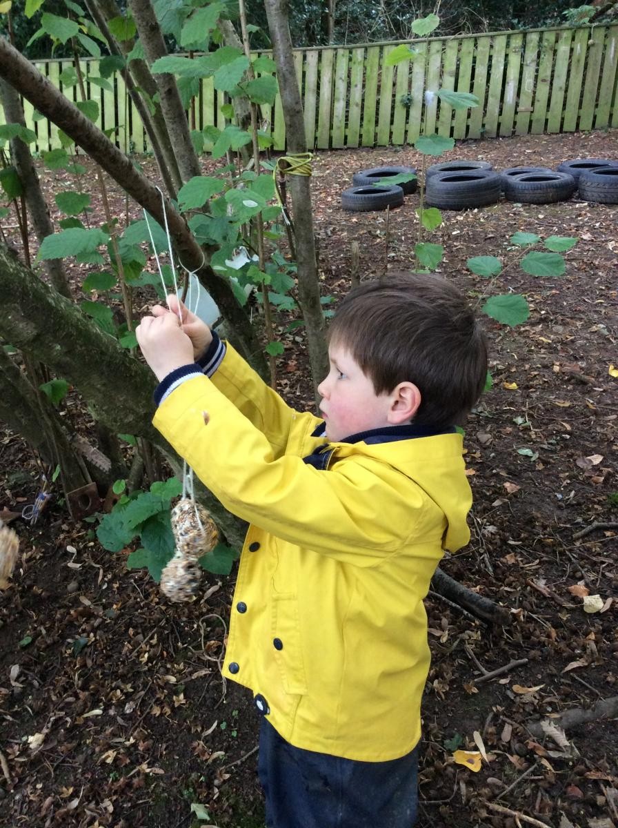 Then we hung the feeders up in the trees.