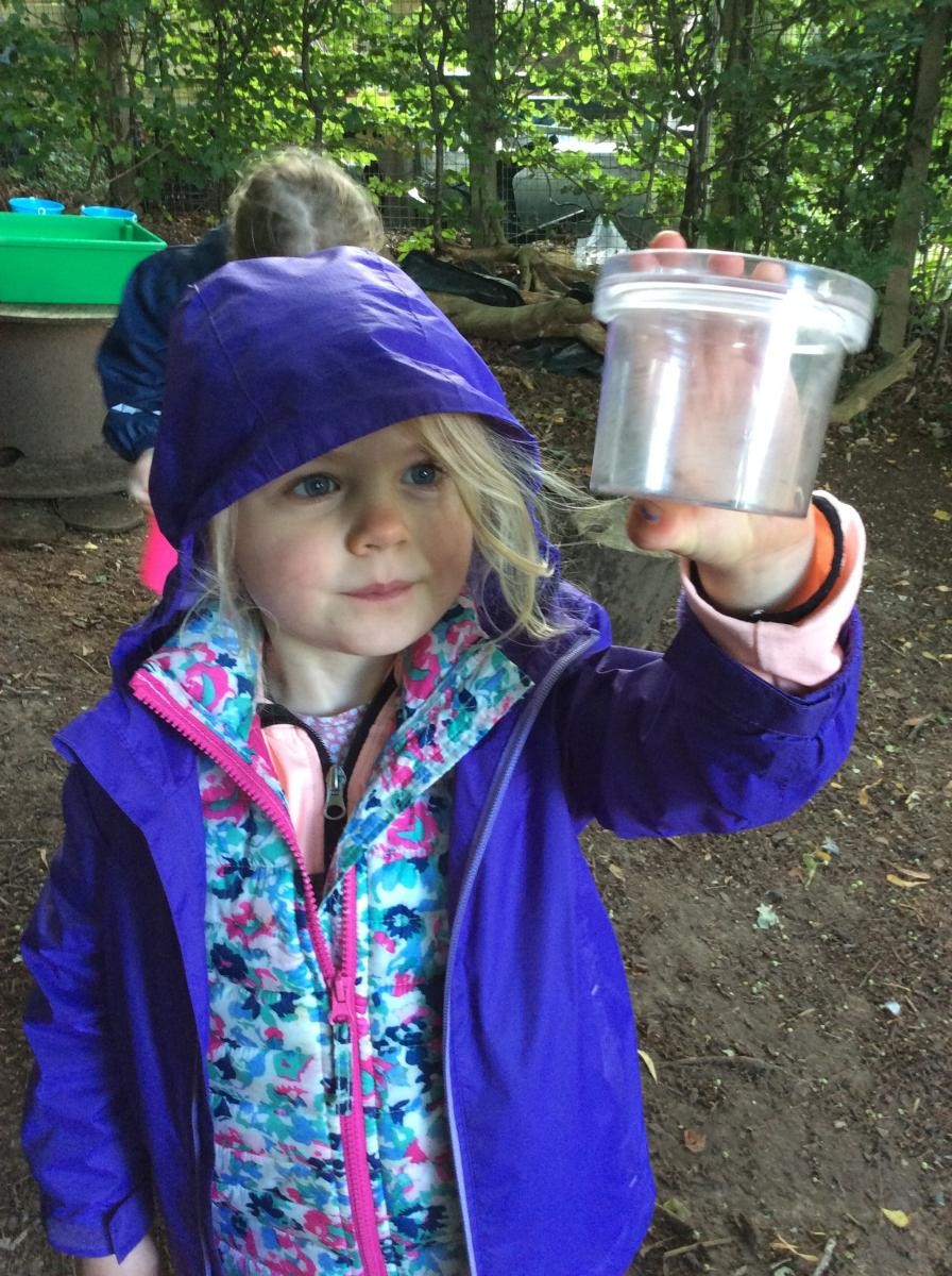 We went hunting for bugs.