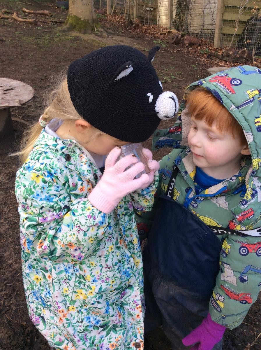 Then we went bug hunting with bug viewers and magnifying glasses.