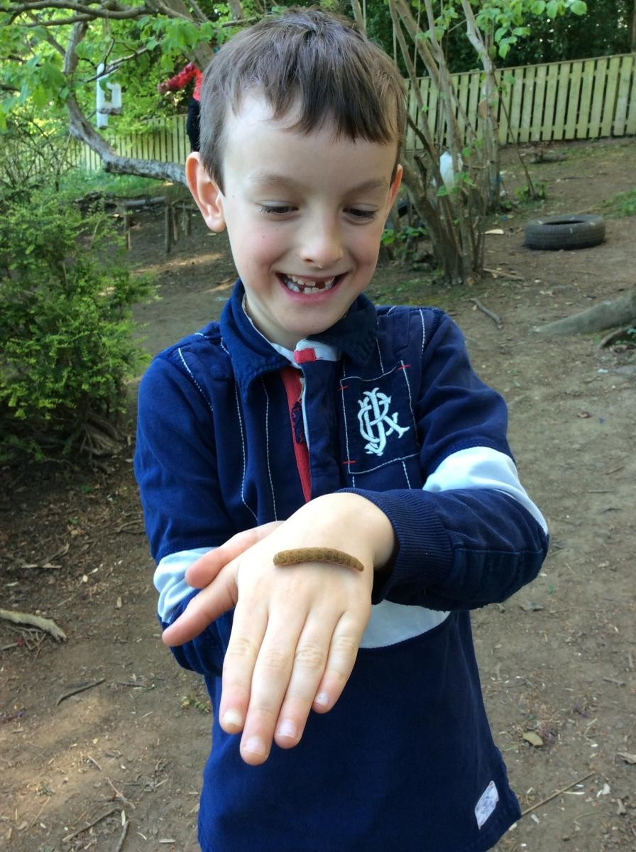 The bug hunters found a caterpillar and named him Woody.
