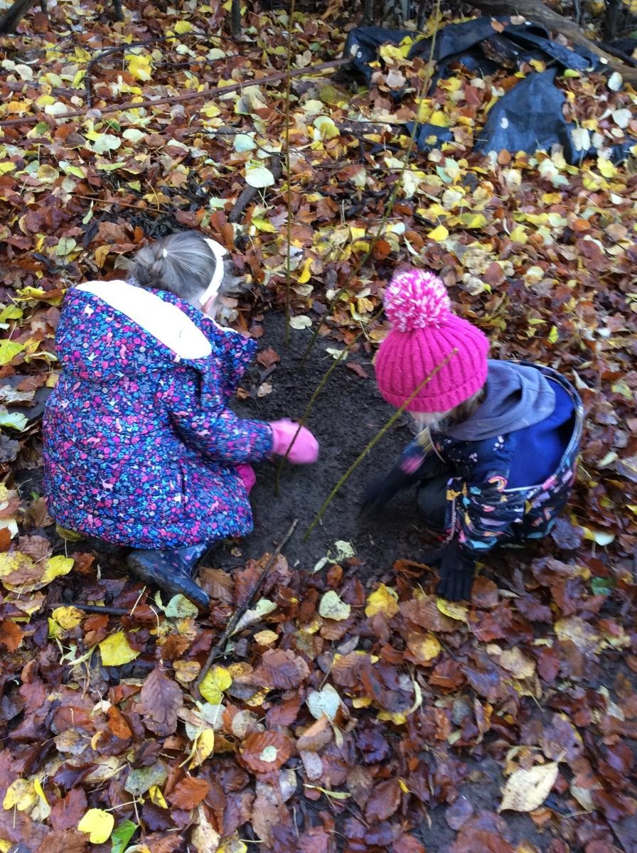 Making a fairy garden in the woods.