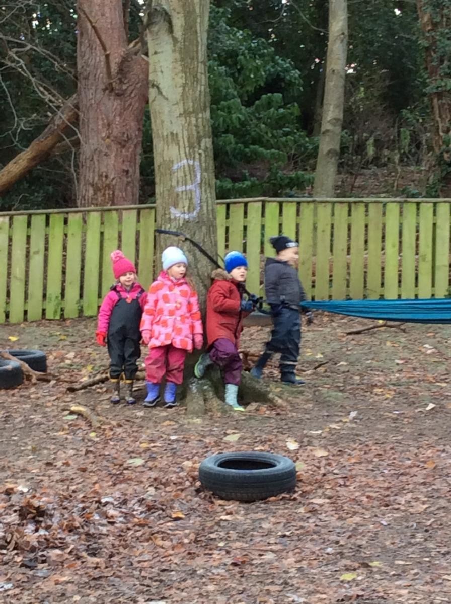 December 1st. To celebrate National Tree Week, Class 1 chatted about why trees are so special.