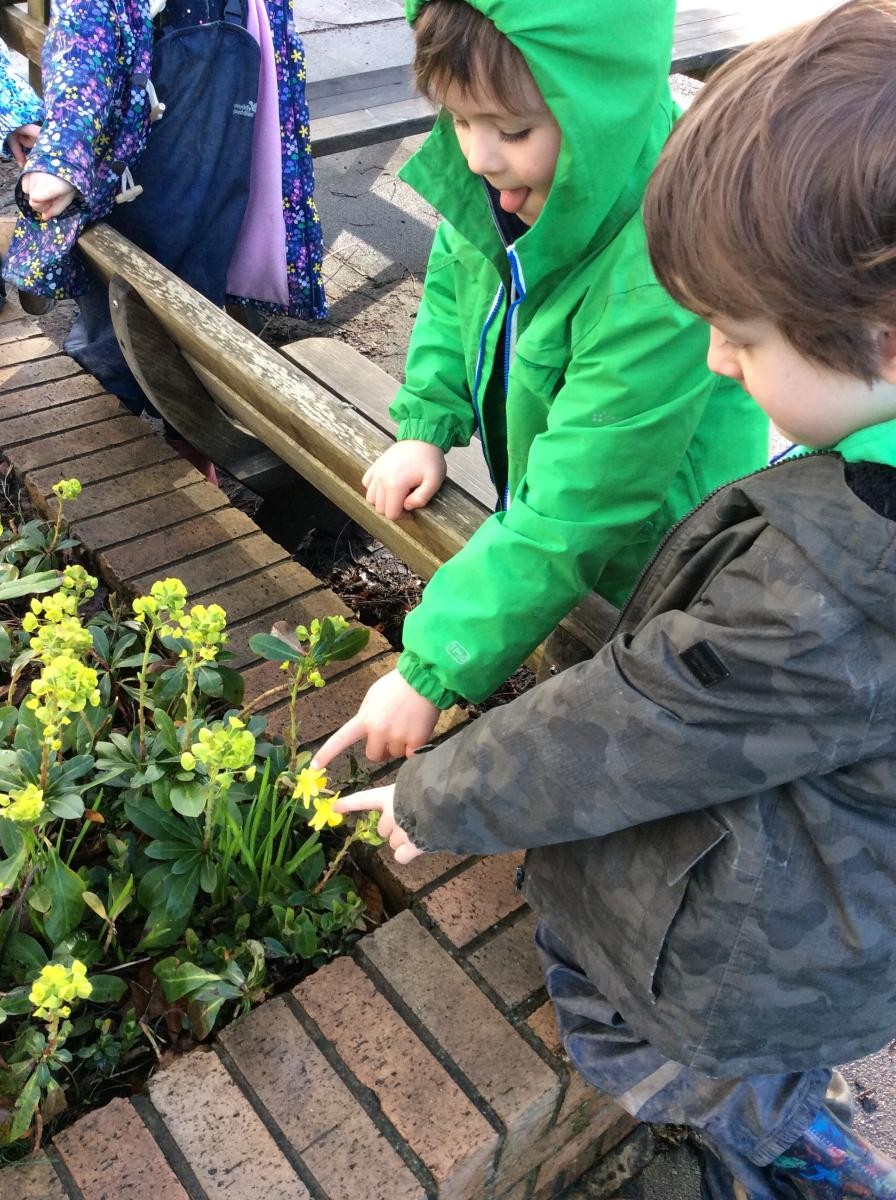 We searched all over the school grounds and found lots of spring flowers, buds and new leaves.