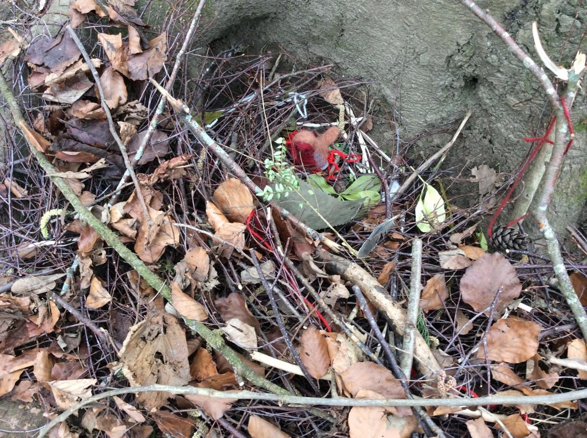 Little Robin loved all her nests and we had lots of fun building them.