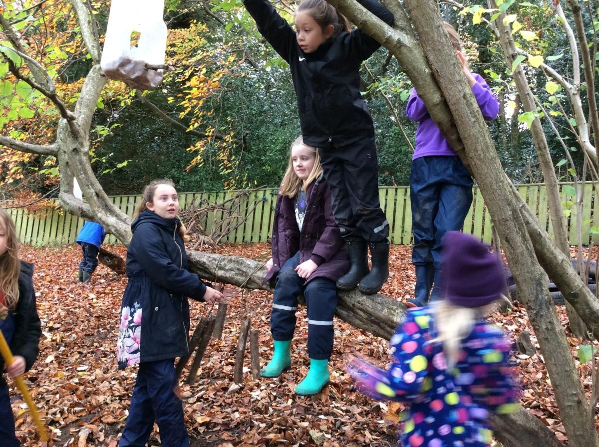 Some of us made a giant bed of leaves and jumped and swung from the branches, landing in the leaf pile!