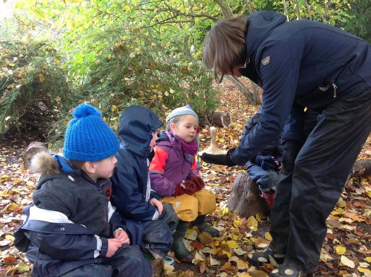 Friday 10th November. We found a broken giant mushroom in the woods and Reception class had a good look at it. It was very beautiful.