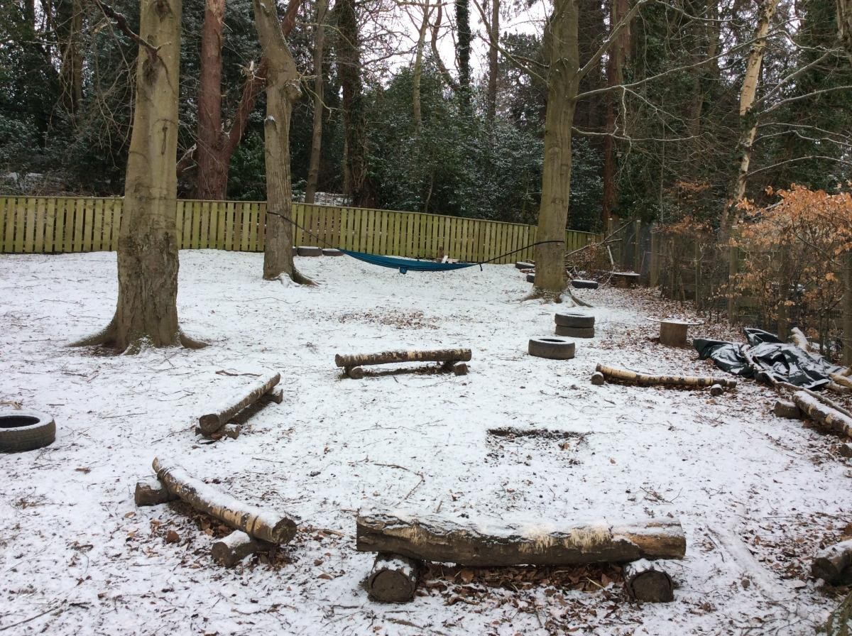 March 9th. A snowy morning in the woods!
