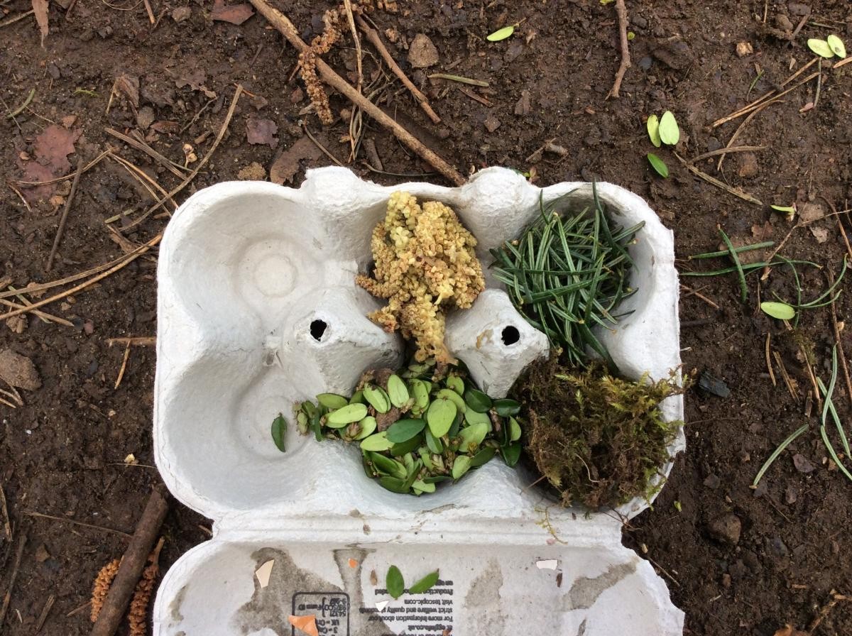 Some of us collected tiny leaves and made 'herbs'.