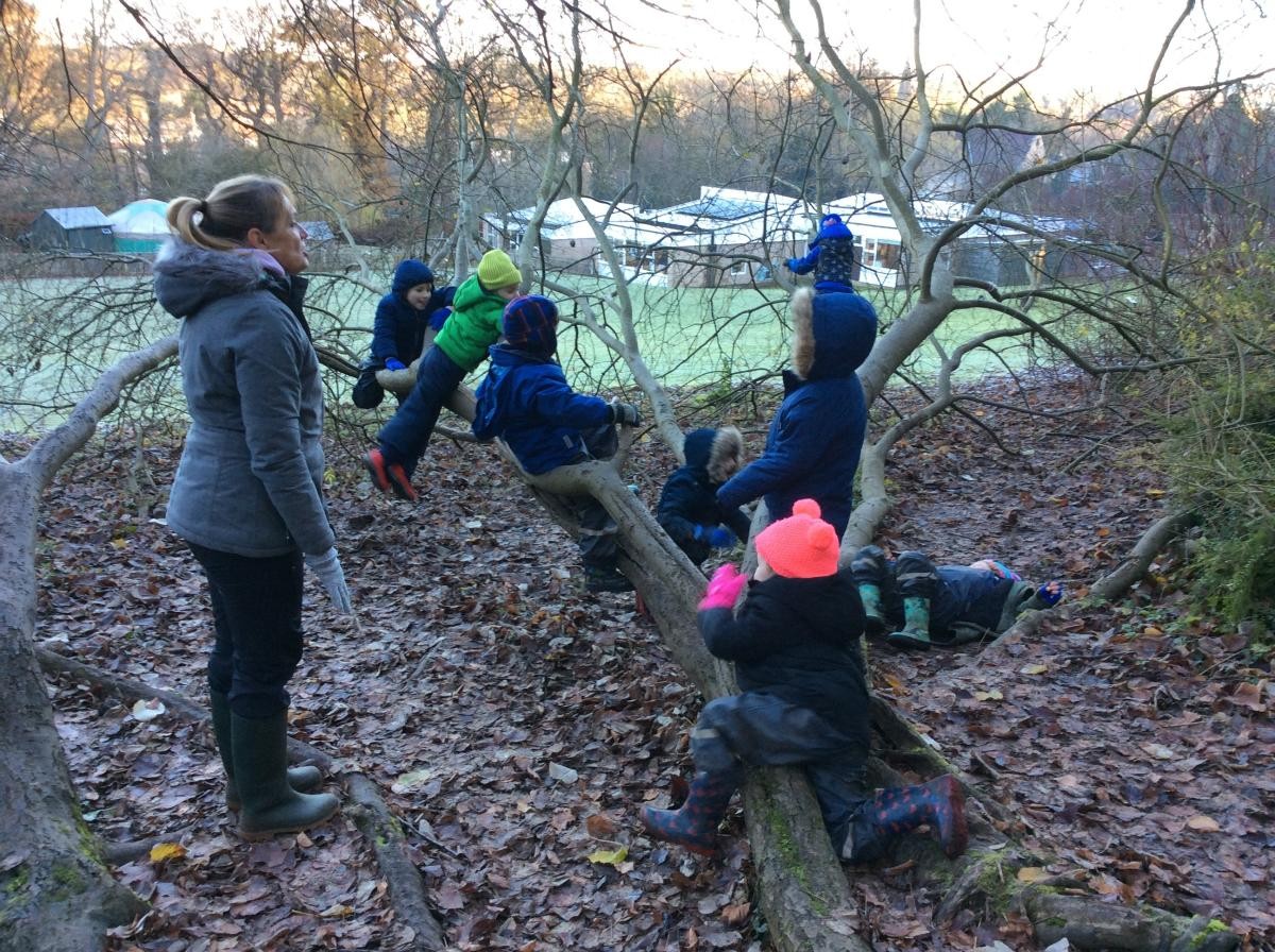 While the apples were cooking we climbed trees...