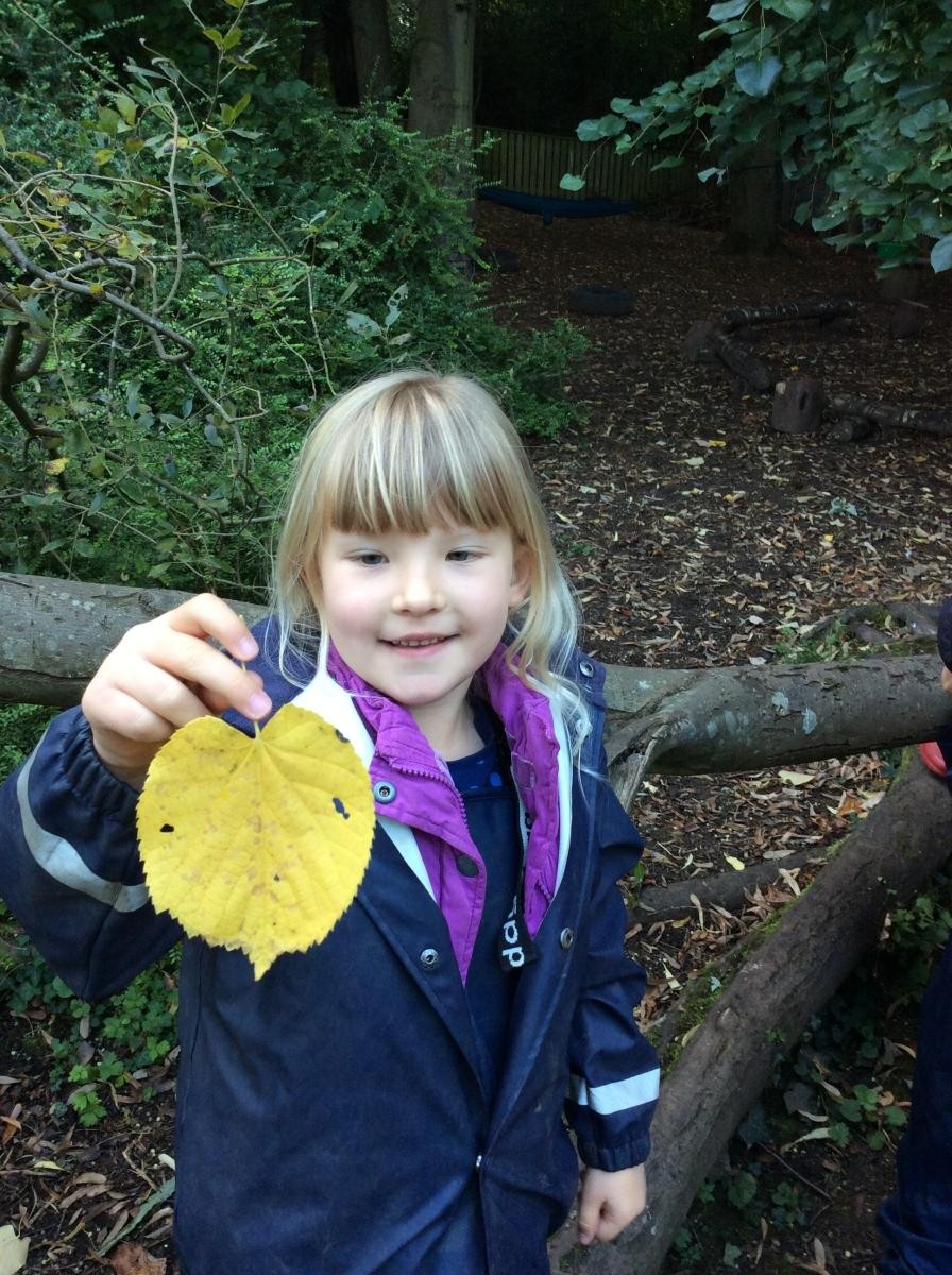 We found a leaf as big as our faces!