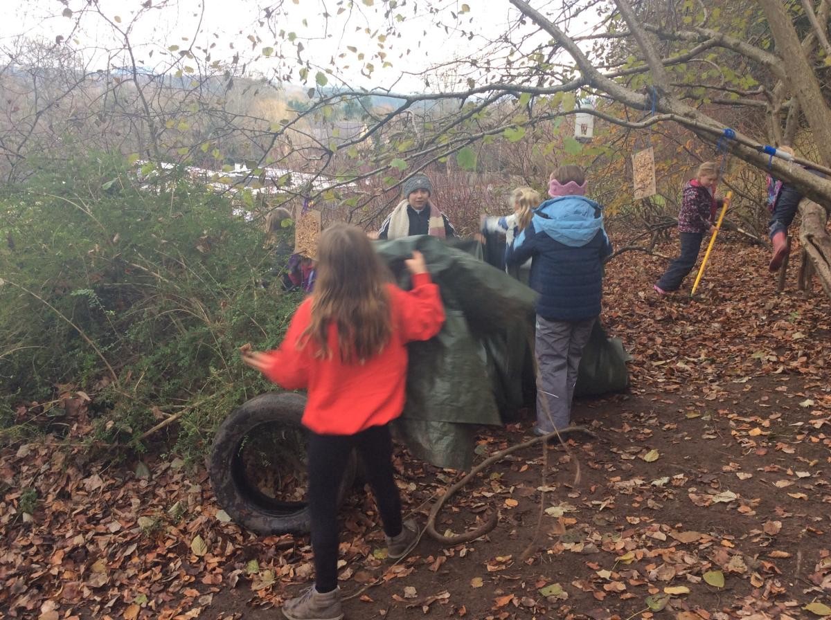 There was lots of den building going on today.