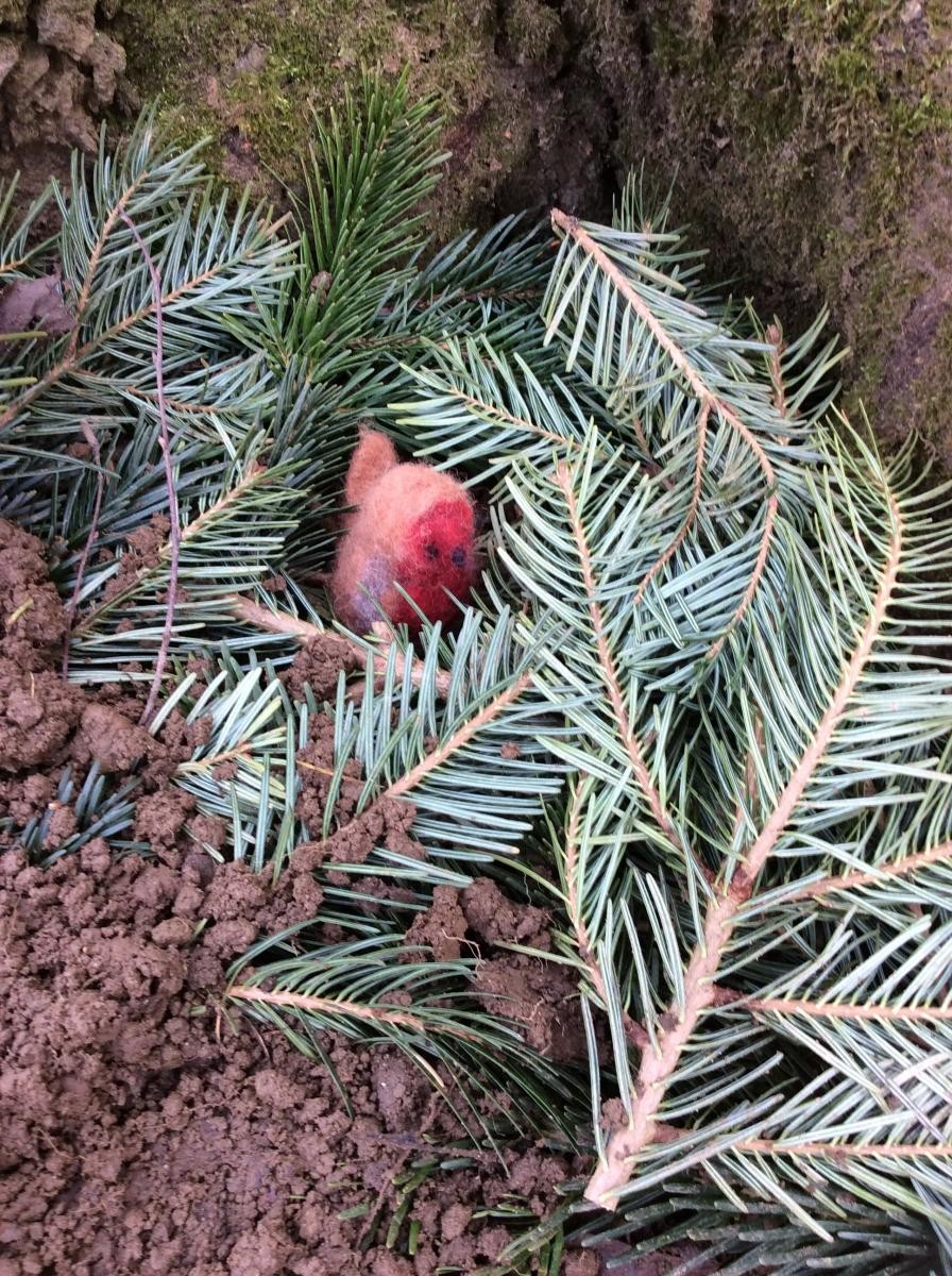 Little Robin now has lots of excellent nests to choose from!