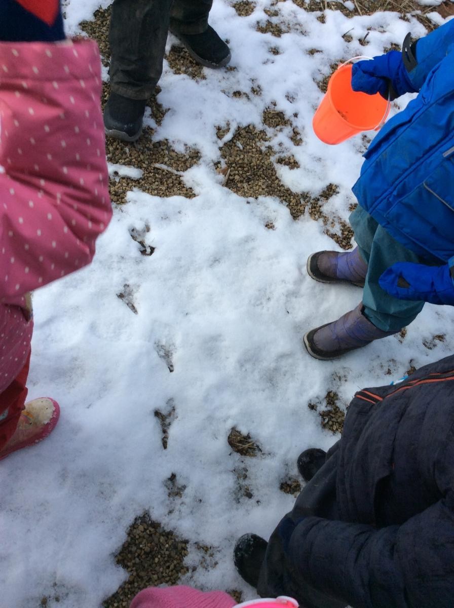 Who made these tracks?